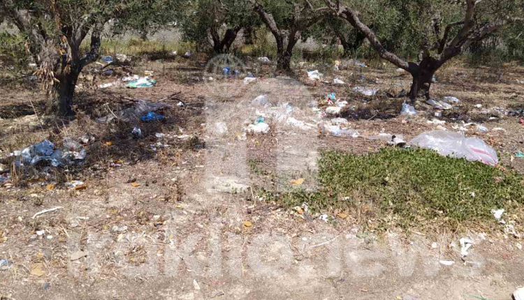 ΣΚΟΥΠΙΔΙΑ ΗΡΑΚΛΕΙΟ2