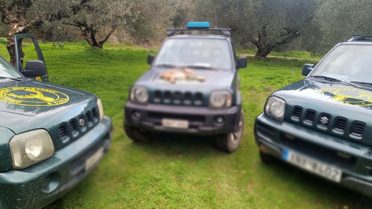 κυνήγι