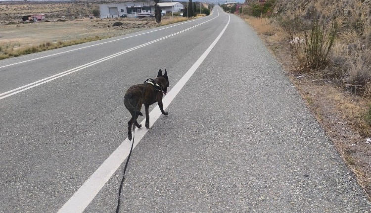 δηλητηρίαση