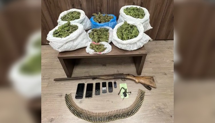 κάνναβη