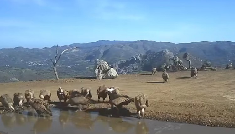 παρατηρητήριο