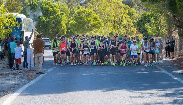 festosrun2026